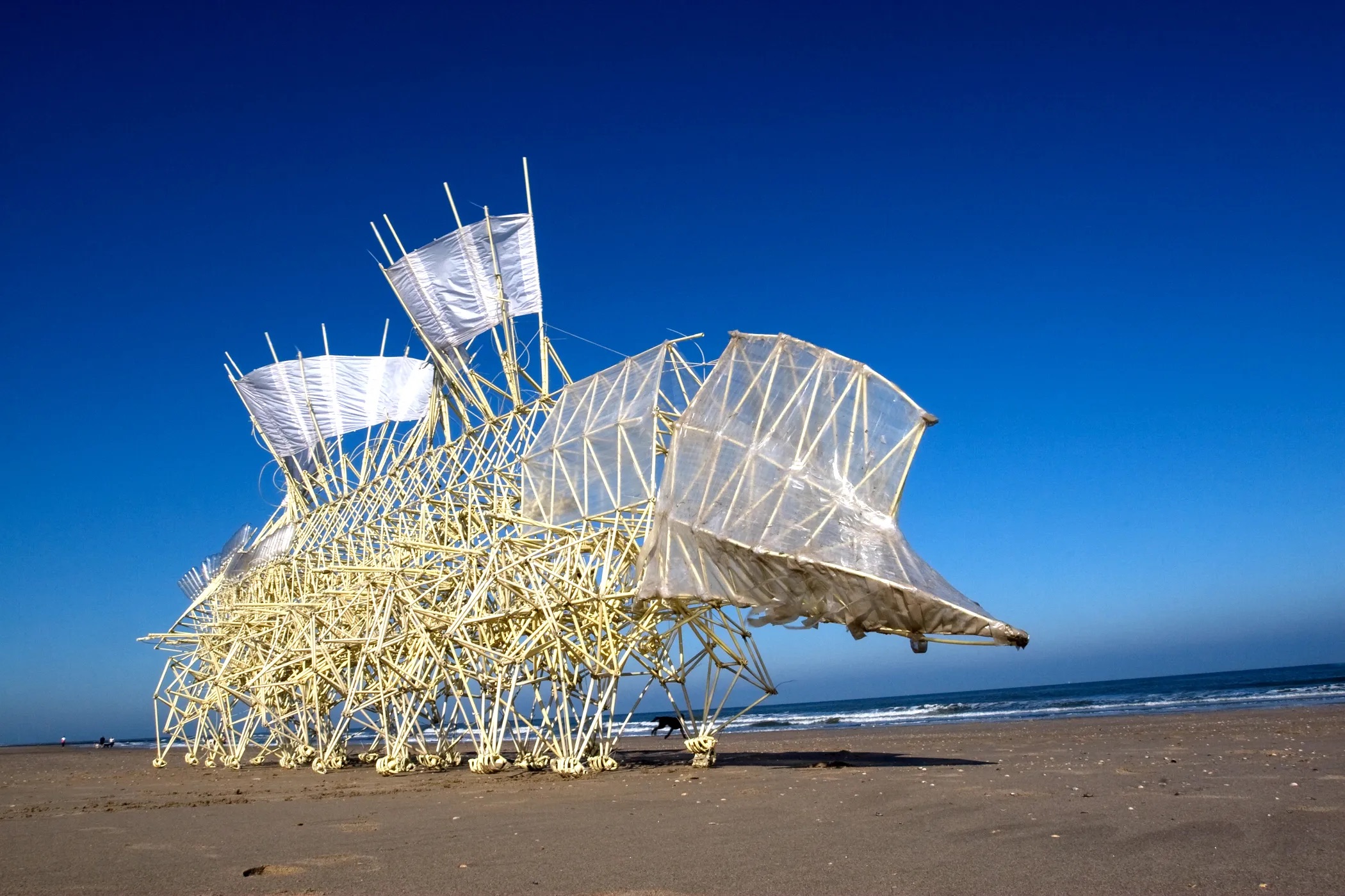 Strandbeest inspiration